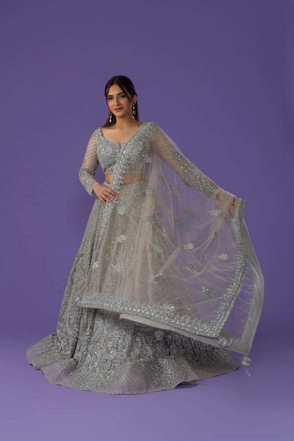 Ash Grey Bridal Lehenga In Net With 3D Heavy Embroidery